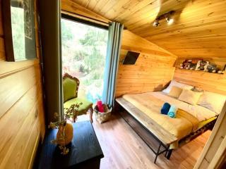 A modern house on the edge of the forest - 8