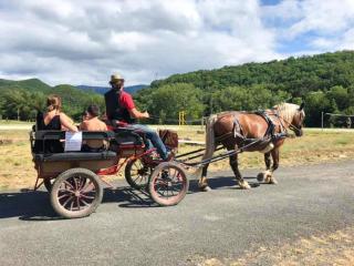 Peaceful Pyrenees Retreat - 1