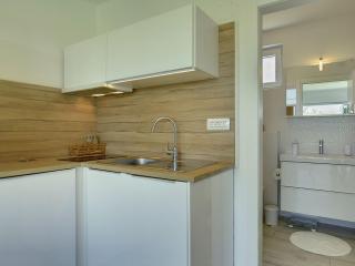 Modern holiday home with enclosed garden - Fasana (Fažana) - 1