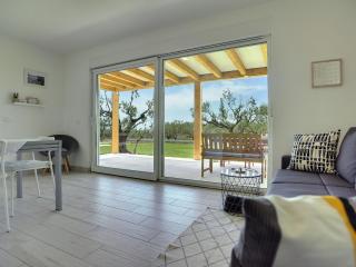 Modern holiday home with enclosed garden - Fasana (Fažana) - 5