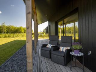 Villa in Friesland with Garden and Terrace - Sint Nicolaasga - 5