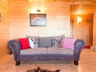 Holiday home in Ravna Gora with fireplace - Ravna Gora - 2
