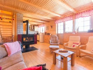 Holiday home in Ravna Gora with fireplace - Ravna Gora - 5