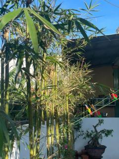 OUR HOME - Quang Ngai - 1
