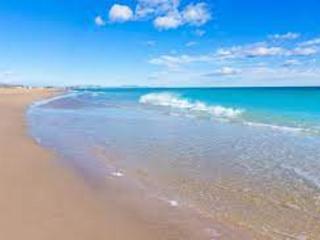 Appartement T2 avec balcon, face mer, tout confort - FR-1-732-57 - Canet-en-Roussillon - 9