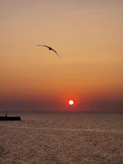 Vila Julia Costinesti - 5