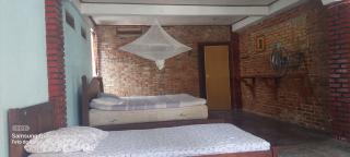 Lawang Inn - Bukit Lawang - 9