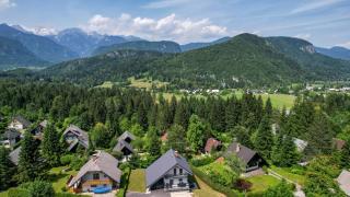Apartment CRYSTAL AURA 1 - Bohinj - 1