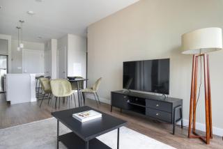 Brighton 2br w wd gym nr Green Line BOS-894 - Boston - 9