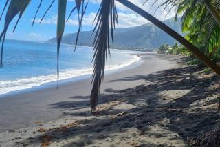 Taharu'u Guest House By The Beach - Papara - 8