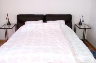 ZAGREB Botanical Garden Budget Apartment - Zagreb - 8