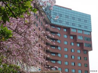 City Hotel Xiamen - 4