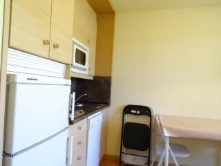 Arette: Apt 4 pers. au pied des pistes avec balcon, parking, ascenseur - FR-1-602-100 - Arette - 9