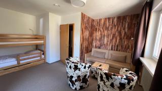 Hotel Silberfelsen - Menzenschwand - 2