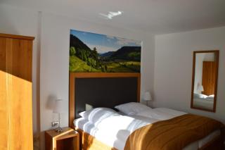 Hotel Silberfelsen - Menzenschwand - 5