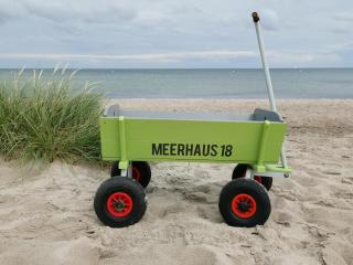 Meerhaus 18 - Olpenitz - 5