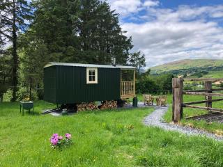 Shepherds Hut at The Retreat - Oswestry - 8