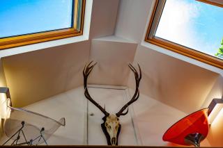 Tresillian Lodge Waterfront, Forest, Hot tub,Sauna - 1