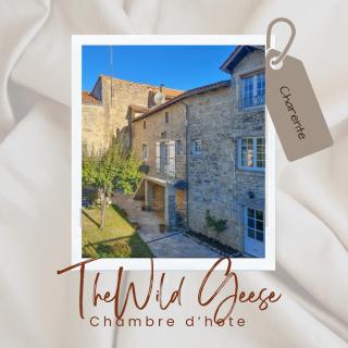 The Wild Geese - Nanteuil-en-Vallée - 0
