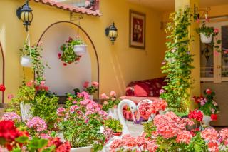 Boutique Guest House 'Sofia' - 1