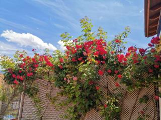 Estancia con jardín entre golf y monte - cerca Logroño - 8