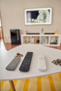 L'Alsacien Artiste - Art - Moderne - Wifi - Netflix - Mulhouse - 6