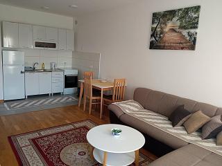AGA Apartman Podgorica - Podgorica - 4