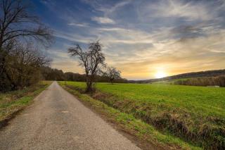 Ferienwohnung Kleinmünster - 1