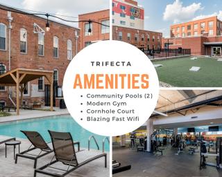 Trifecta Historic Brick 2BR Getaway Superhost - Durham - 8