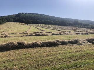 TVF Stable Suites - Nether Stowey - 3