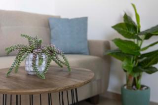 The Green Bee Apartment - Nikiana - 5