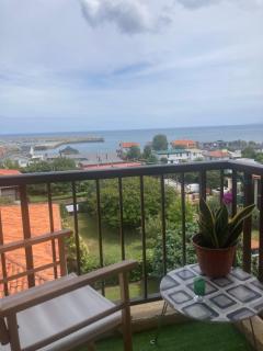 La Casa del Gallo - 6