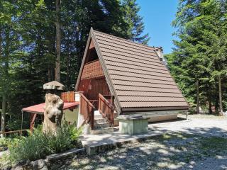 KOČA PLANIKA, SVIŠČAKI - Ilirska Bistrica - 8