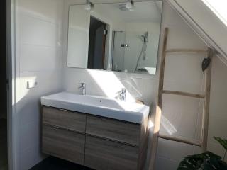 Modern lodge with combi microwave - Tholen - 3