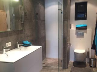 Wellness lodge with a sunshower - Tholen - 1