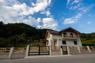 Casa Pricop Moroșană - Vadu Izei - 4