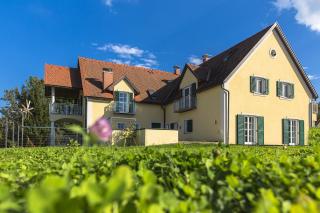 Moor-Rosl Apartmenthotel - Gamlitz - 0