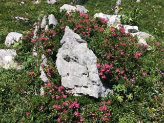 Tschengla Ferienwohnung - 3