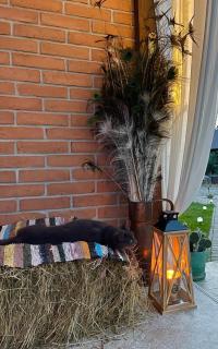 La Casetta - O întreagă căsuță ca în povești - 4