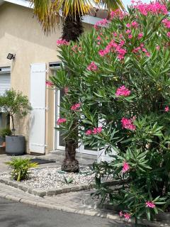 Villa proche Arcachon, Dune, Plages - 9