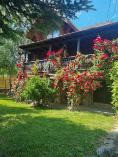 Cabana Haiducului - Soveja - 0