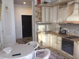 VIP apartment in Odessa - Odessa - 3