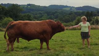 La petite ferme de Lucie et Andréa - 4