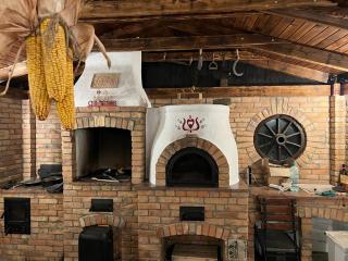 White Dove Pension - Miercurea-Ciuc - 9