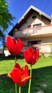 Holiday Home Zelena Oaza - Sarajevo - 1