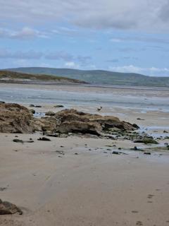 Shanadune - Tralee - 2