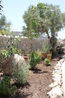 A casa d’ Irene - Kampos Paros - 6