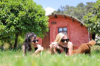 Simurg Evleri Olympos - 8