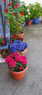 Apartman Sun - Mostar - 5