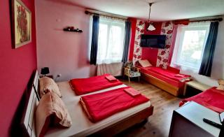 Dolce Villa Balaton - Vonyarcvashegy - 3